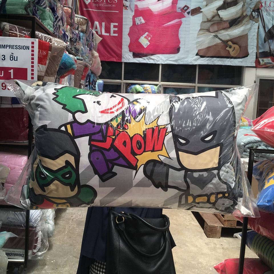 17342843_585564948234730_8781344971173826149_n