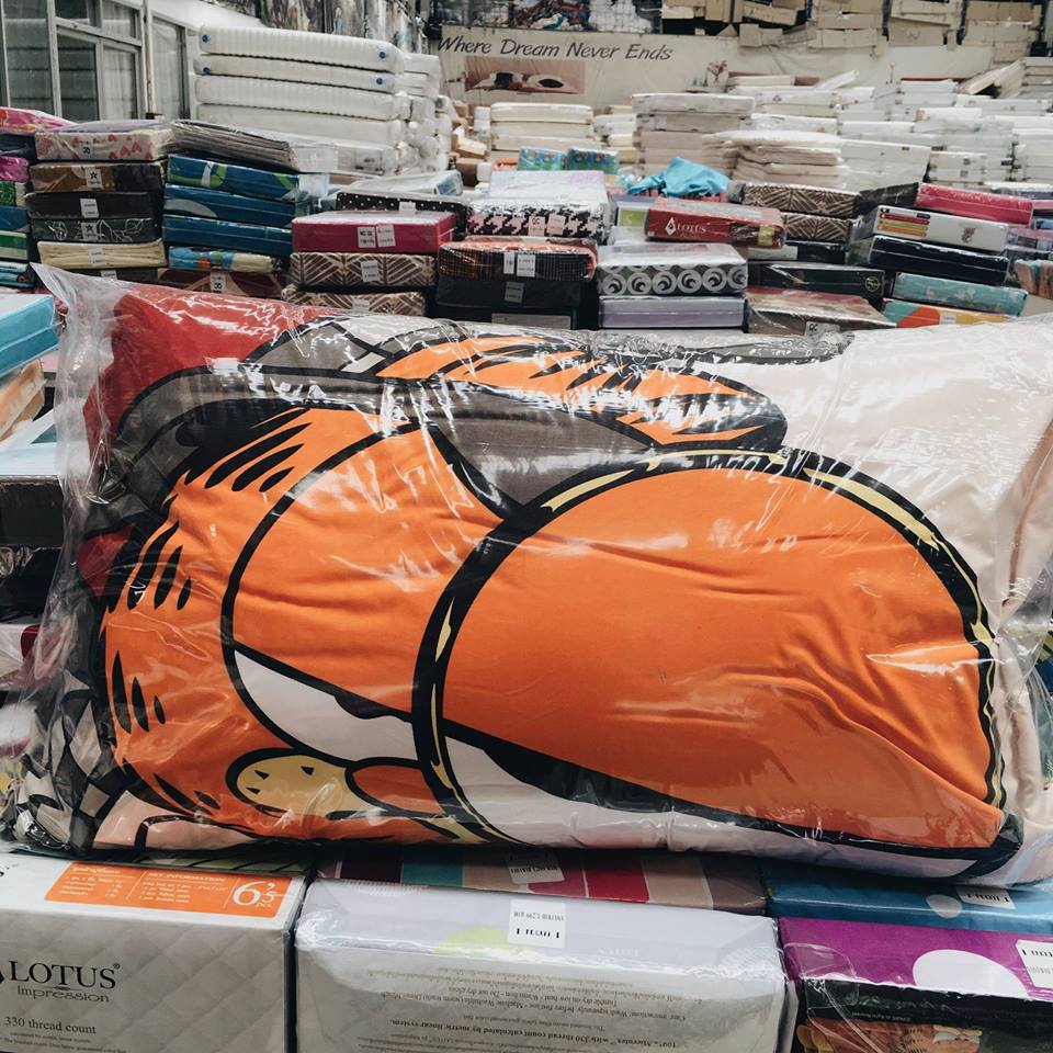 17424909_585565034901388_4015390728754720941_n