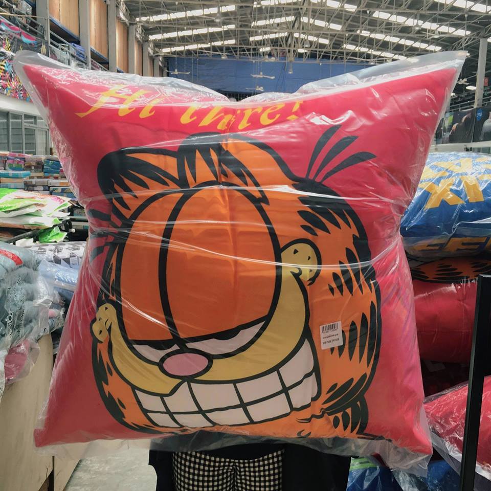 17425082_585565131568045_4074067705256134820_n