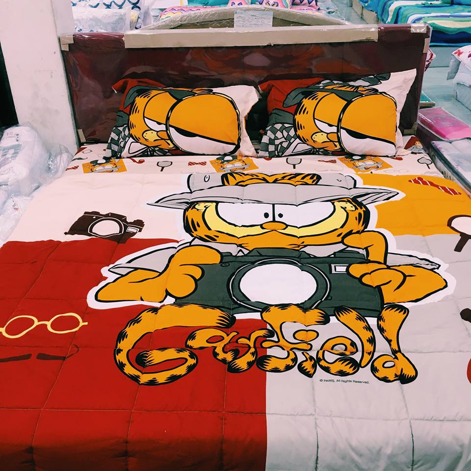 17426236_585564048234820_6862561020580631556_n