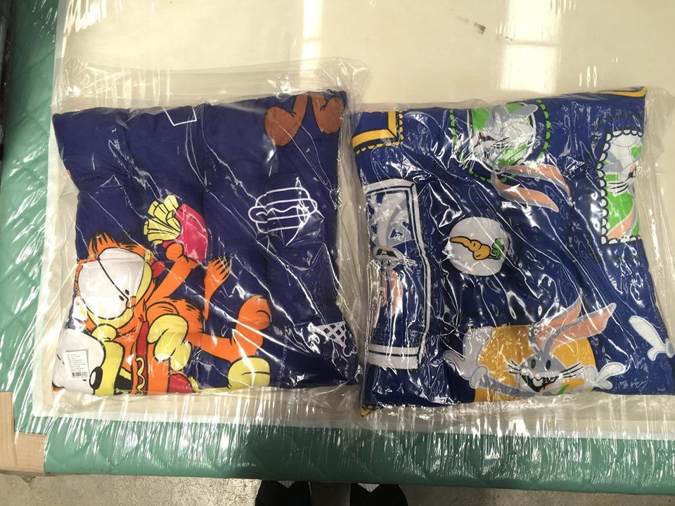 17457399_585565368234688_4213243192646586415_n