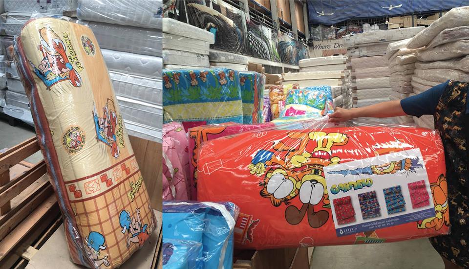 17499149_585565898234635_5587804799752806840_n