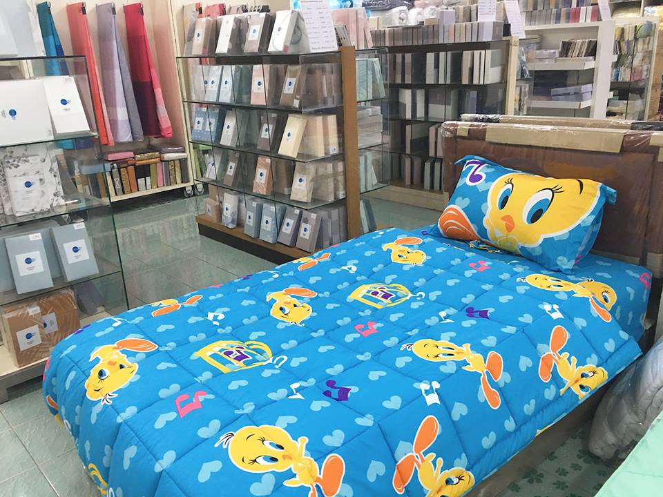 17499208_585563678234857_6652520084273924486_n