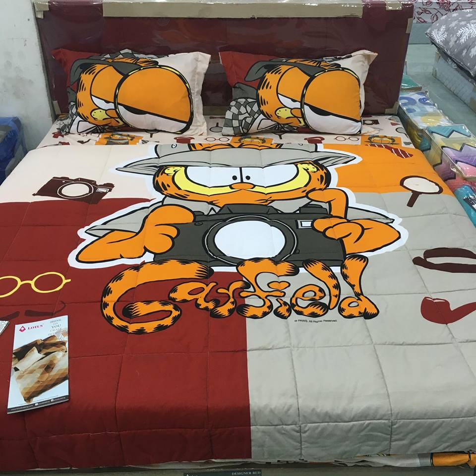 20525460_668325626625328_1342300397357989988_n