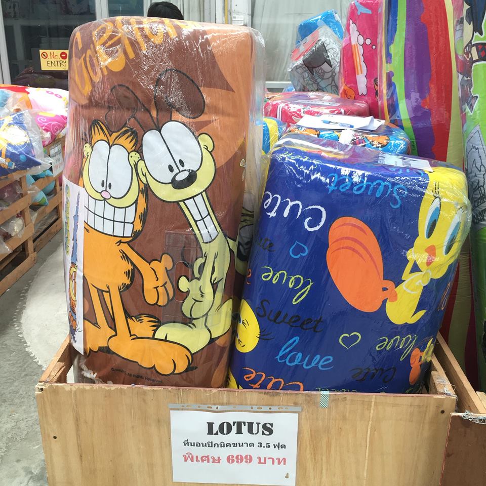 20596975_668166943307863_4121775659082897242_n