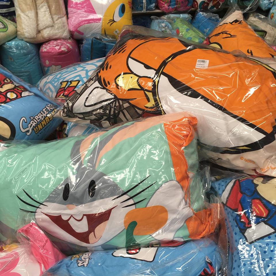 20597265_668166893307868_6291312293714076834_n