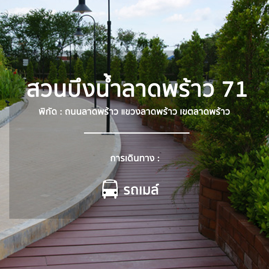 garden_7