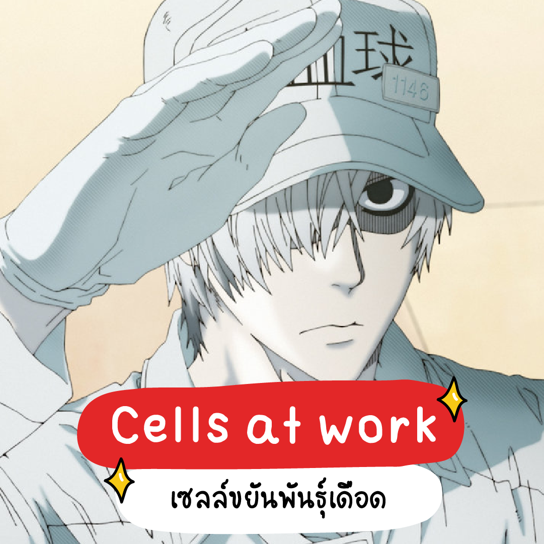 cells at work ซับไทย