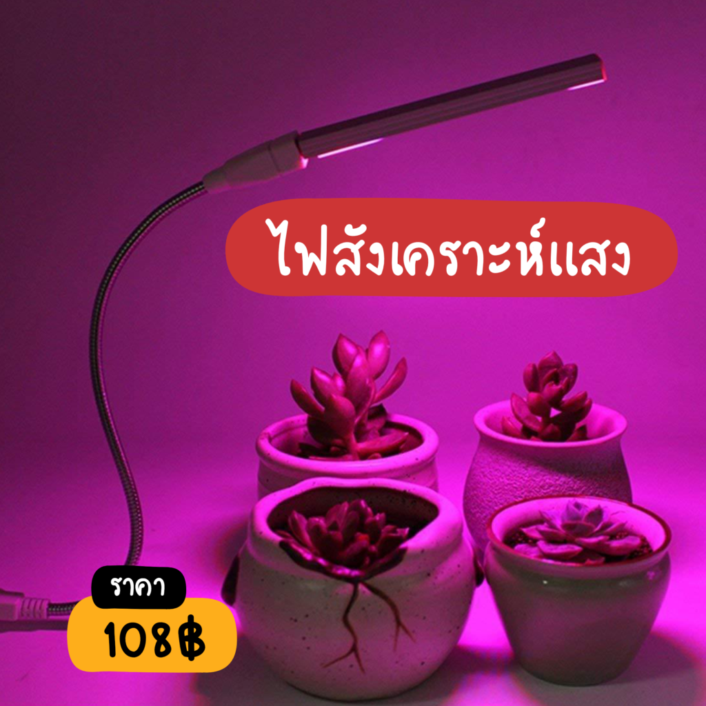My Image 28